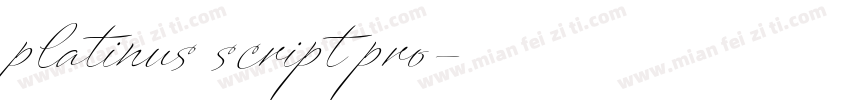 platinus script pro字体转换